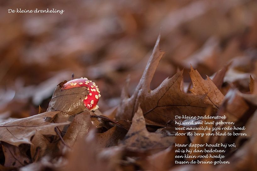 The little drowning man by Natuurfotografie_simoneopdam
