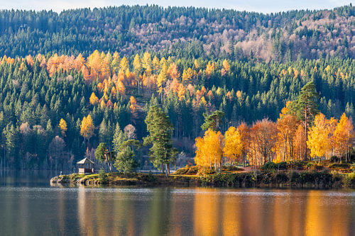 Autumnal atmosphere at Schluchsee in the Black Forest