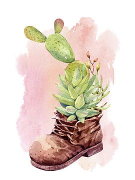 Cactus et succulentes dans une chaussure