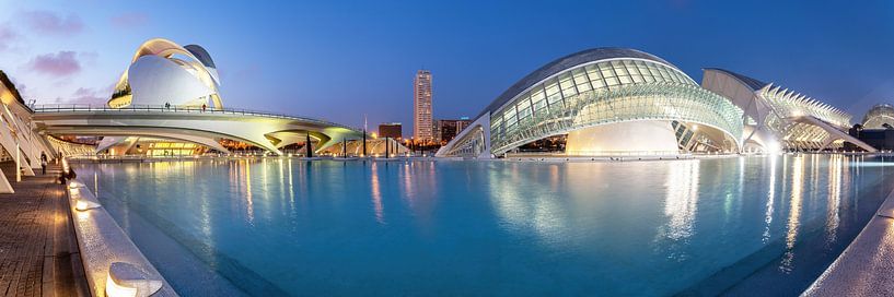 Valencia city of arts and sciences by Ko Hoogesteger