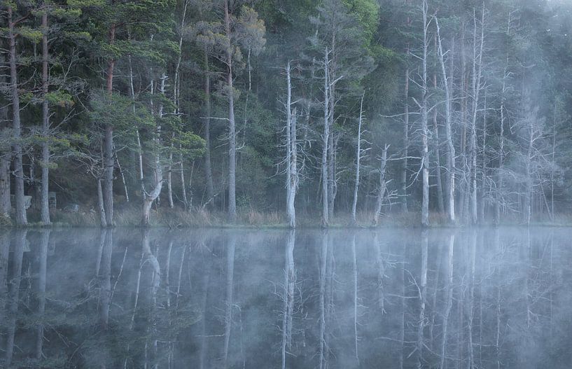 Perfecte spiegeling von Natuurfotografie_simoneopdam