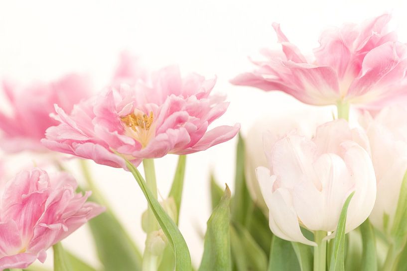 Airy by Friedhelm Peters