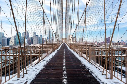 Brooklyn Bridge en skyline NY