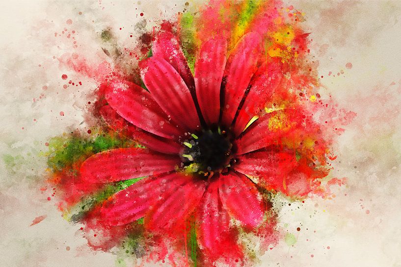 Rode bloem van Sharon Harthoorn