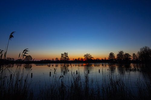 Ochtend aan de plas.