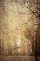 Fairytale