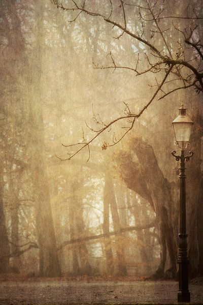 Fairytale by Simone Sterkenburg