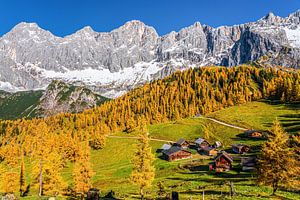 Almen au pied du Hohe Dachstein sur Coen Weesjes