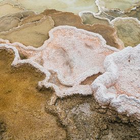 Geschichtete organische Gesteine im Yellowstone-Nationalpark. von Myrthe Slootjes