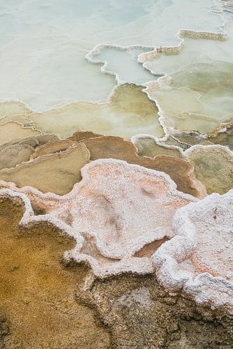Gelaagde organische stenen in het Yellowstone National Park. van Myrthe Slootjes