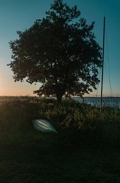 Baum und Kajak am Ufer von Brenda van Beek