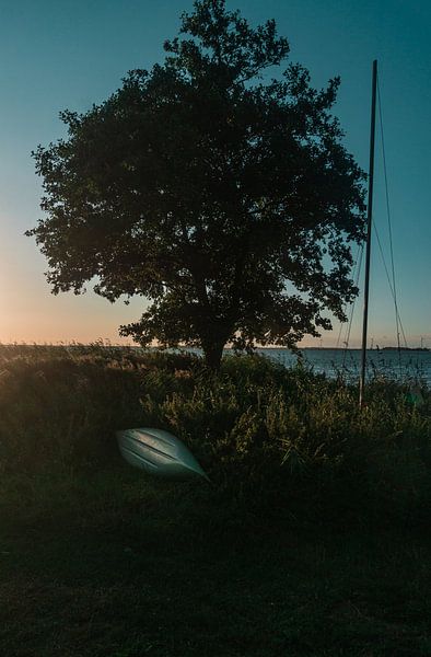 Tree and boat on the shore by Brenda van Beek
