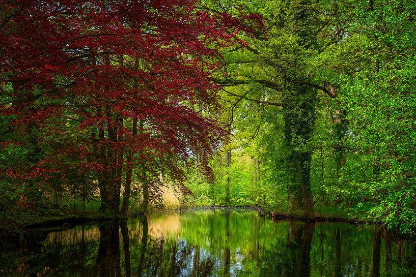 Bredius mirroring by Jeroen Lagerwerf