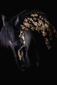 Schwarzfoto Kopf Pferd mit Gold von Ellen Van Loon