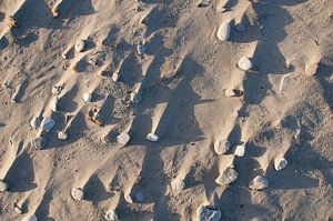 Sandstrand Draufsicht mit Schatten