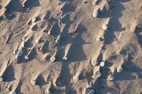 Sandy beach Top view with shadow