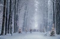 Kerstmis in het bos