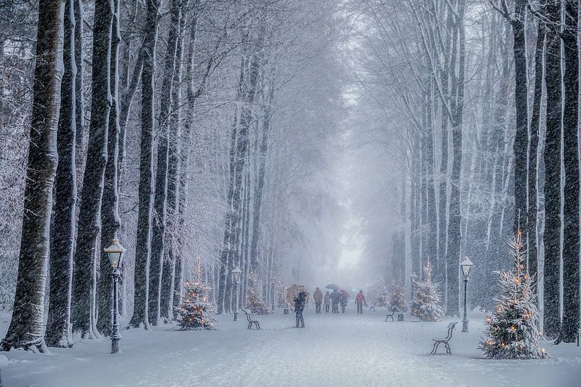 Christmas in the forest by Niels Barto