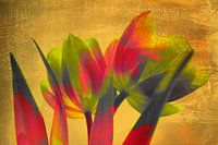 Art deco tulips