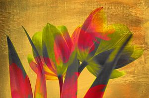 Tulipes art déco sur Martine Affre Eisenlohr