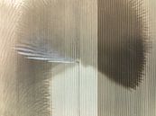 Waterkanon spuit water op een droge akker van boven gezien van Sjoerd van der Wal Fotografie thumbnail