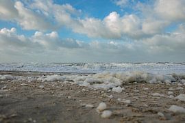 North Sea, Zeeland by anne droogsma