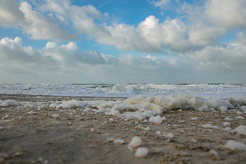 noordzee zeeland van anne droogsma
