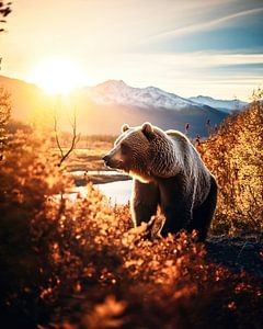 Herbst im Yukon