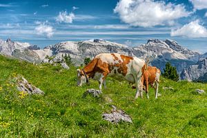 Les Dolomites sur Paul van Baardwijk