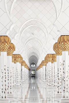 Große Sheikh-Zayed-Moschee Abu Dhabi von Anne van Doorn