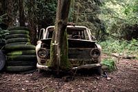 Lost in the Woods