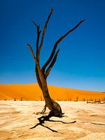 Deadvlei Namibia