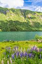 View over the Fjærlandfsjord in Norway by Rico Ködder thumbnail