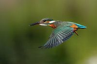 Flight Mode