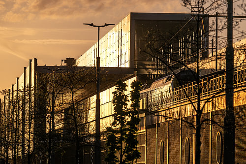 Avondlicht in het Miljoenenkwartier