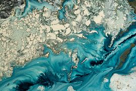 Enigma by Petra Meikle de Vlas