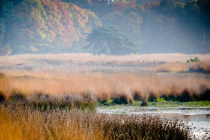 Nederlands Herfstlandschap par H Verdurmen