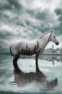 Surreales Zebra im Regen an der Skyline von Nijmegen - Einzigartige Stadtfotografie