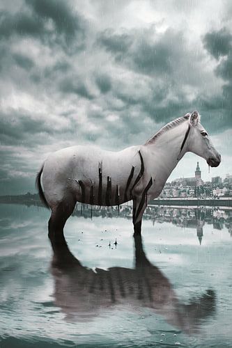 Surreal Zebra in Rain at Nijmegen Skyline - Unique Urban Photography by Elianne van Turennout
