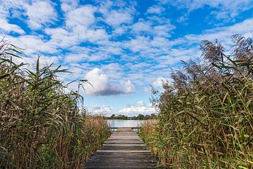 Loopbrug en riet op het Krakauer meer in het dorp Serrahn van Rico Ködder