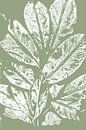 Witte tak met bladeren in retrostijl. Moderne botanische minimalistische kunst in pastel saliegroen van Dina Dankers thumbnail