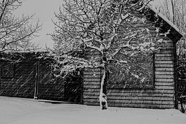 Snowy scenery in Utah by Alex de Bolivar