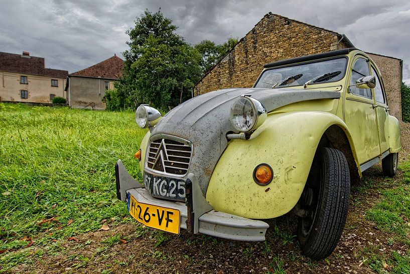 Citroën 2CV, vilain petit canard par Tilly Meijer