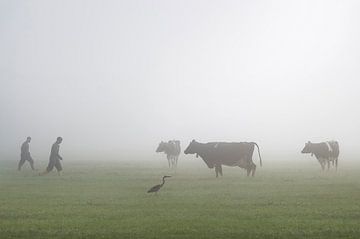 Boeren en koeien in de mist van Robert van der Borg