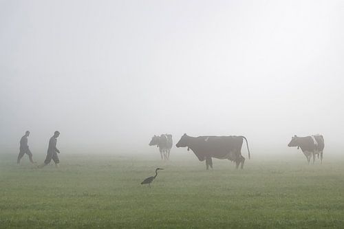 Fermiers et vaches dans le brouillard