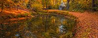 L'automne dans la forêt de Slochter par Henk Meijer Photography Aperçu