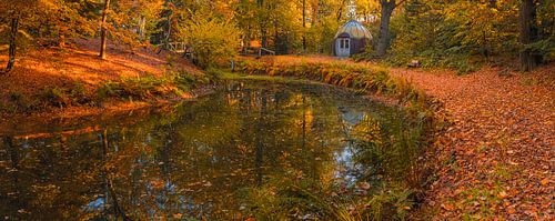 Panorama van de herfst in het Slochterbos