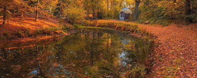 L'automne dans la forêt de Slochter par Henk Meijer Photography