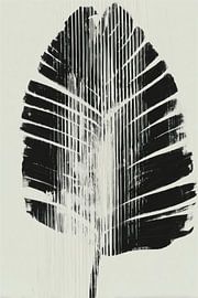 Lignes de feuilles de bananier sur Chromatic Storm Studio