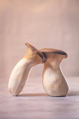 Lean on me - Lebensmittel-Stillleben mit Königsausterpilz l Lebensmittel-Fotografie